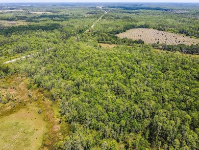 The St Rd 557 Lake Alfred property (Parcel ID: - photo 10