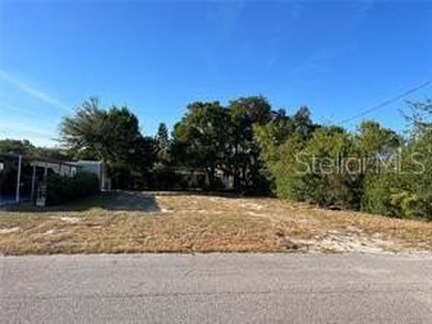 Lake Dora Lot Sale Pending in Tavares Florida