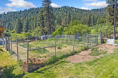 Turnkey 80-Acre Homestead on Lake Roosevelt - Fully operational - photo 23