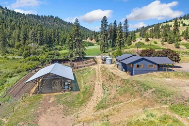 Turnkey 80-Acre Homestead on Lake Roosevelt - Fully operational - photo 25