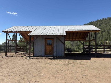 Turnkey 80-Acre Homestead on Lake Roosevelt - Fully operational - photo 29