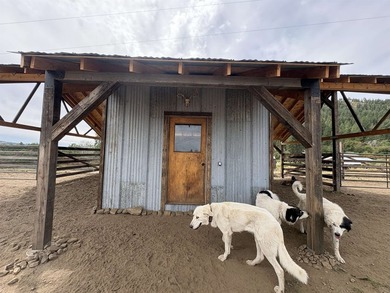 Turnkey 80-Acre Homestead on Lake Roosevelt - Fully operational - photo 30