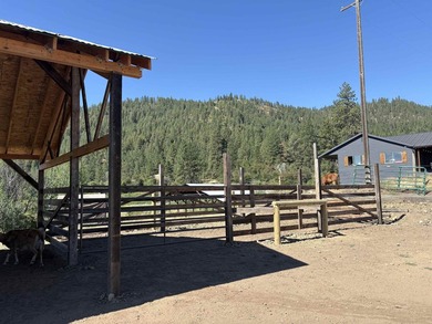 Turnkey 80-Acre Homestead on Lake Roosevelt - Fully operational - photo 32