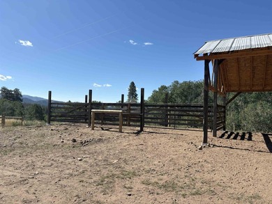 Turnkey 80-Acre Homestead on Lake Roosevelt - Fully operational - photo 33