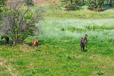 Turnkey 80-Acre Homestead on Lake Roosevelt - Fully operational - photo 34