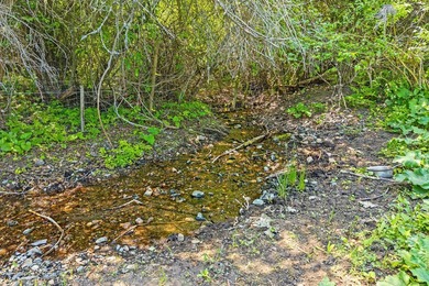 Turnkey 80-Acre Homestead on Lake Roosevelt - Fully operational - photo 37