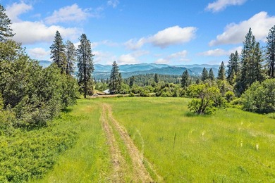 Turnkey 80-Acre Homestead on Lake Roosevelt - Fully operational - photo 38