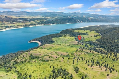 Turnkey 80-Acre Homestead on Lake Roosevelt - Fully operational - photo 39
