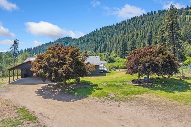 Turnkey 80-Acre Homestead on Lake Roosevelt - Fully operational - photo 40