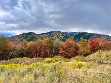 Utah Lake Lot For Sale in Woodland Hills Utah