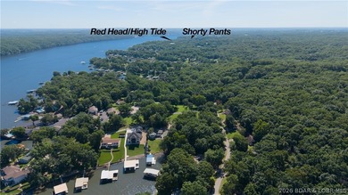 Rare as Hens teeth, this almost 100 ft of moderate shoreline - photo 12