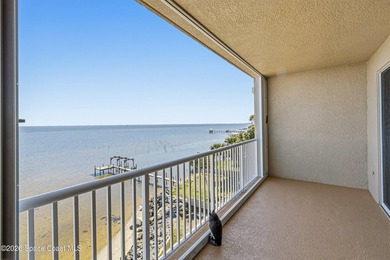 The most sought after direct Indian River views from this - photo 24