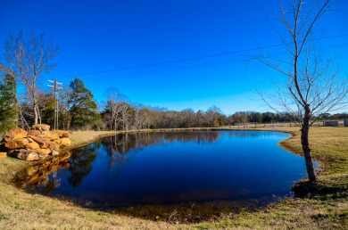 4 Acres, Big Views & Even Bigger Possibilities - photo 39