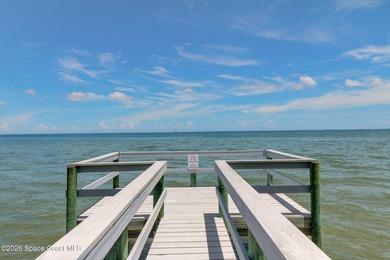 The most sought after direct Indian River views from this - photo 30