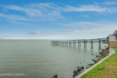 The most sought after direct Indian River views from this - photo 31