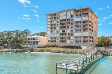 The most sought after direct Indian River views from this - photo 32