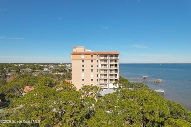 The most sought after direct Indian River views from this - photo 36