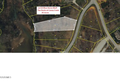 This is a LSAKEFRONT / DOCKABLE  lot in the Docks at Caney Creek - Lake Lot Sale Pending in Rockwood, Tennessee