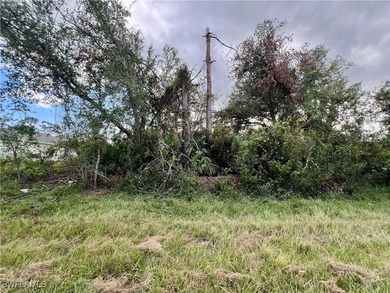 Port Charlotte Waterway Area Lot For Sale in Port Charlotte Florida