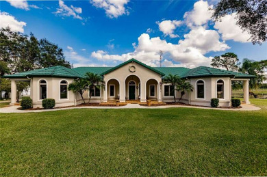 (private lake, pond, creek) Home For Sale in Avon Park Florida