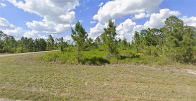 Lehigh Acres Area Lot For Sale in Lehigh Acres Florida