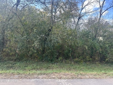  Lot Sale Pending in Loudon Tennessee