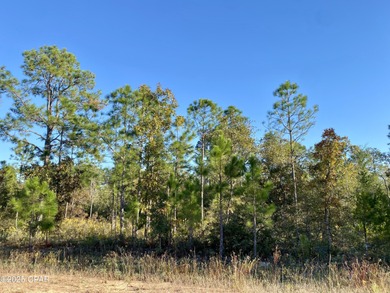 Compass Lake Lot For Sale in Alford Florida
