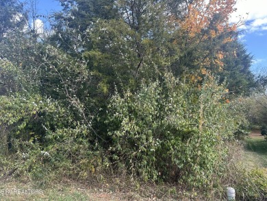  Lot Sale Pending in Loudon Tennessee