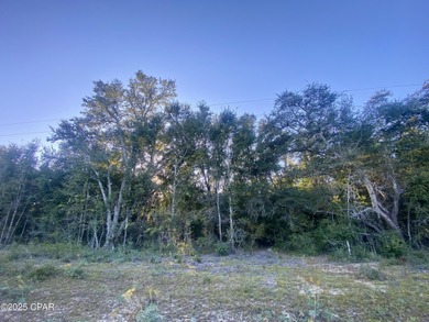 Compass Lake Lot For Sale in Alford Florida