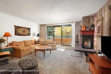 Roaring Fork River Condo For Sale in Aspen Colorado