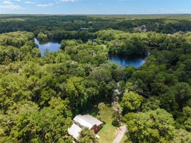 (private lake, pond, creek) Home For Sale in Dunnellon Florida