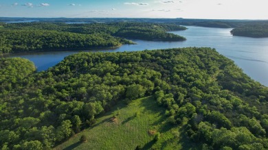 Norfork Lake Acreage For Sale in Henderson Arkansas