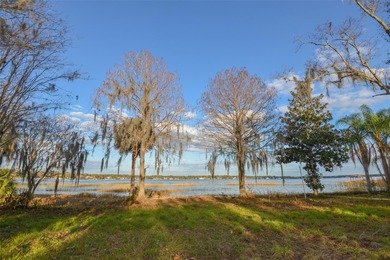 Lake Down Acreage For Sale in Windermere Florida