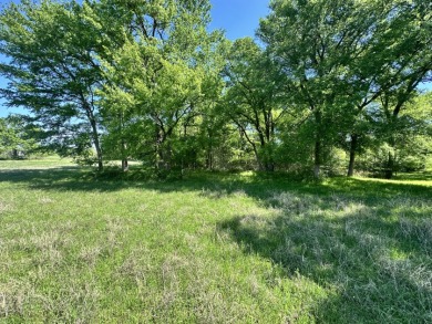 4 Acres, Big Views & Even Bigger Possibilities - photo 18