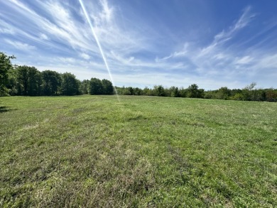 4 Acres, Big Views & Even Bigger Possibilities - photo 28