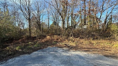 Great opportunity to own a vacant lot in Suffolk! Perfect for - photo 1