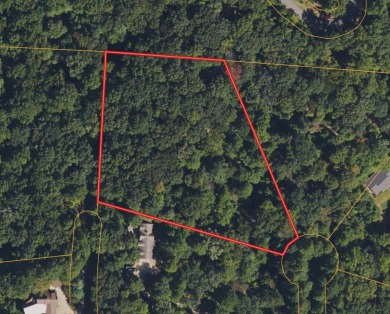 Lake Acreage For Sale in Columbus, North Carolina