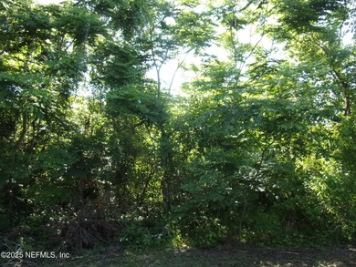 St. Johns River Lot For Sale in Palatka Florida
