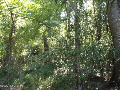 Vacant lot , great building site for your new home! Mostly - photo 3