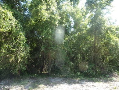 Vacant lot , great building site for your new home! Mostly - photo 4