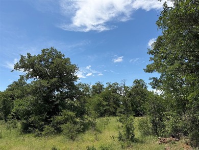 (private lake, pond, coastal) Acreage For Sale in Newcastle Texas