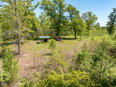 42 Private Wooded Waterfront Acres - photo 9