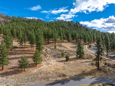 Homesite with Architectural Plans Included at Clear Creek Tahoe - photo 16