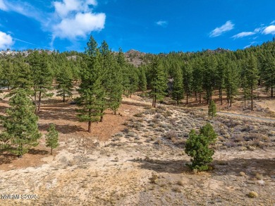 Homesite with Architectural Plans Included at Clear Creek Tahoe - photo 17