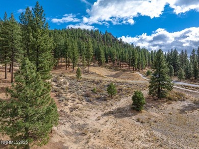 Homesite with Architectural Plans Included at Clear Creek Tahoe - photo 18