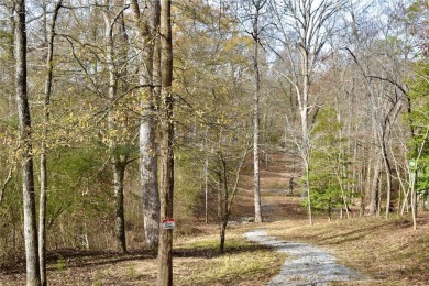 Lake Lot For Sale in Toccoa, Georgia