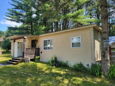 Wisconsin River - Juneau County Home For Sale in Lyndon Station Wisconsin