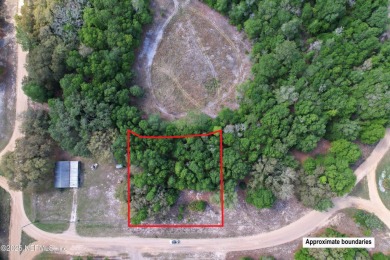 Lake Lot For Sale in Interlachen, Florida
