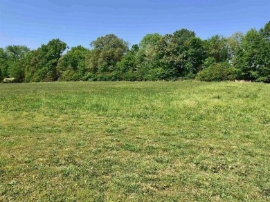 Tennessee River - Hardin County Lot For Sale in Savannah Tennessee