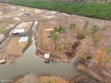 Don't miss this rare opportunity to own a large lake lot in the - photo 9